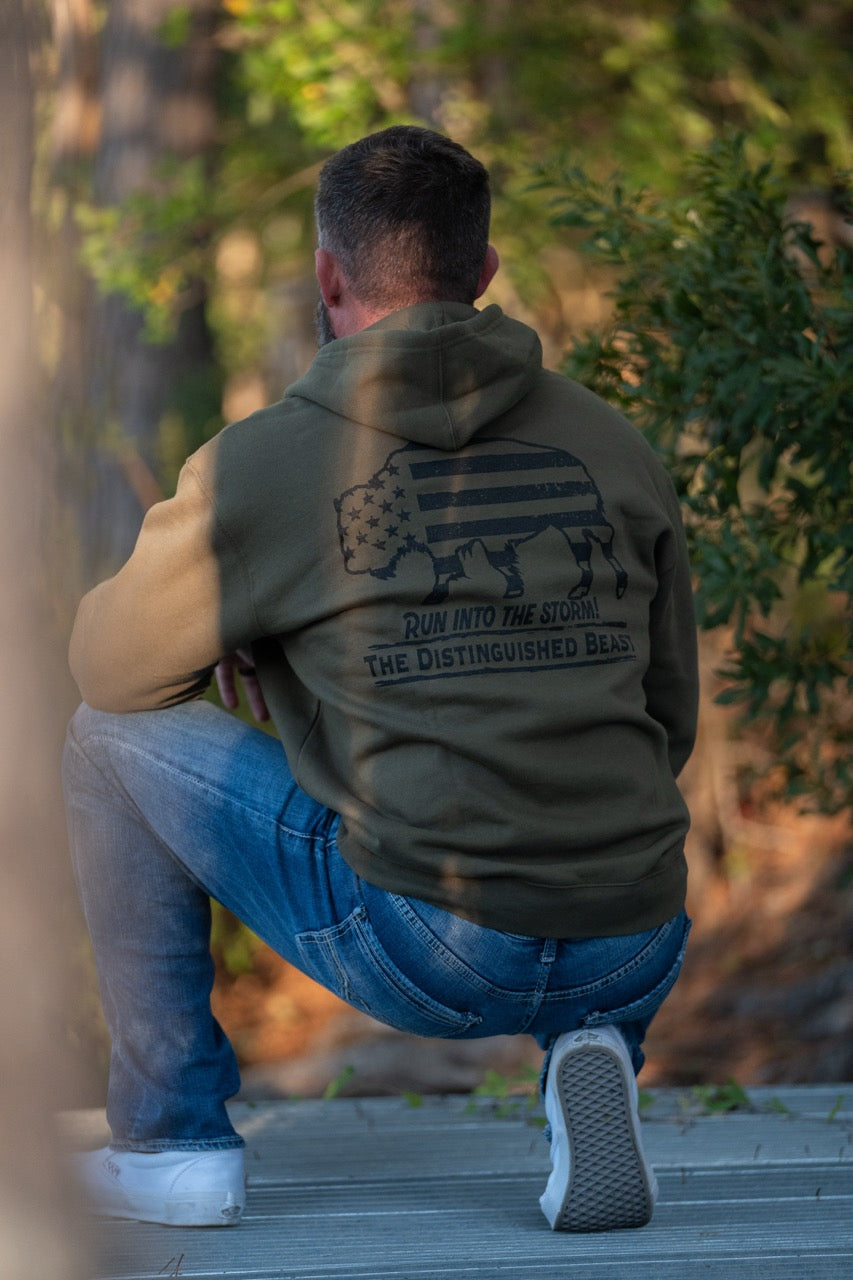 Run Into The Storm hoodie