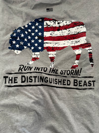 Run Into The Storm T-Shirt