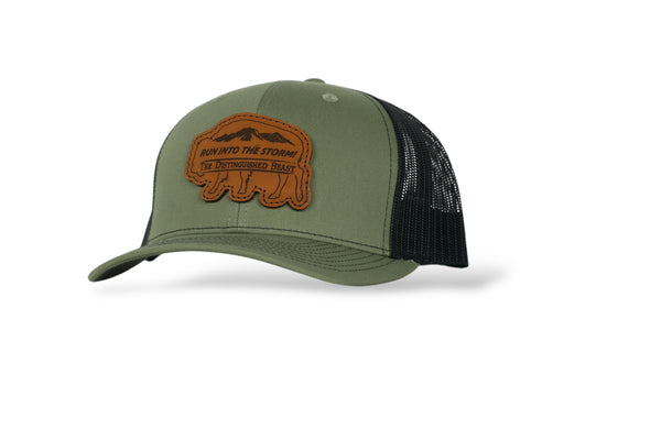 Run Into The Storm Richardson 112 Hat