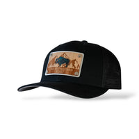 Wood Patch Bison Hat