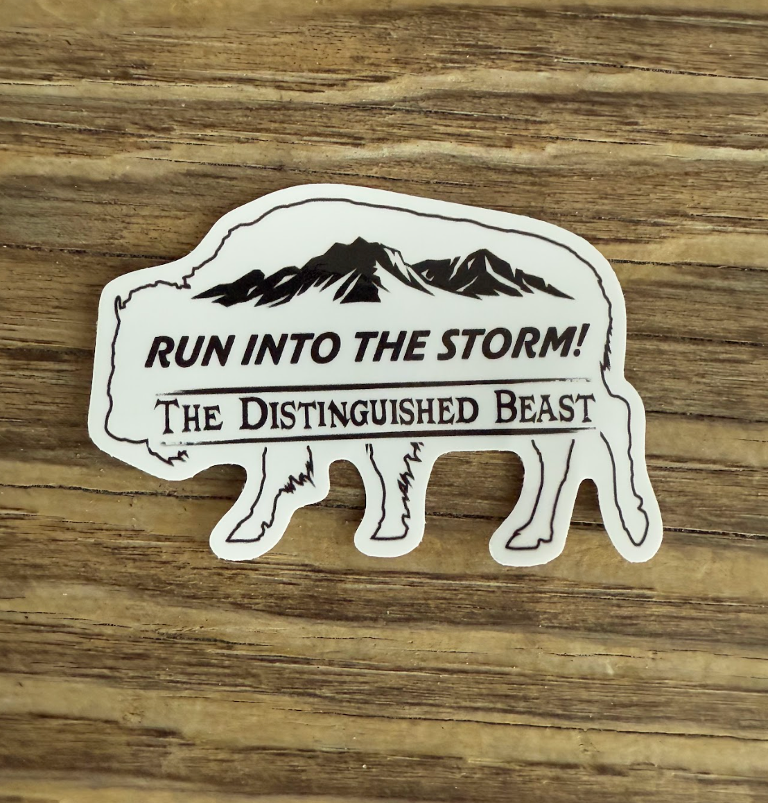 Run Into The Storm Mountains Diecut Vinyl Sticker